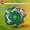 Vizari Mini National Team Soccer Balls - 3 of 4