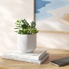 Succulent Arrangement in White Pot - Room Essentials™ - 2 of 4