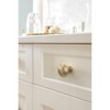 Amerock Enlivity Round Knob for Cabinets, Drawers, and Furniture - 2 of 4