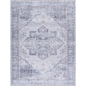 Arizona ARZ137 Machine Washable Skid Resistant Power Loomed Indoor Rugs - Safavieh - 1 of 4