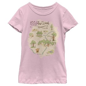 Girl's Winnie the Pooh 100 Acre Woods Map T-Shirt - 1 of 4