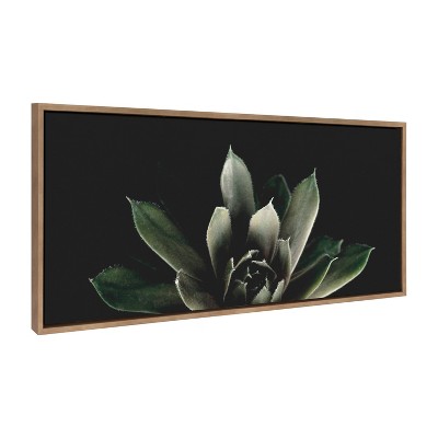 Gold Framed Succulent Canvas Wall Art, 20" x 43"