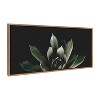 18" x 40" Sylvie Succulent 8 by Emiko and Mark Franzen of F2 Images Framed Wall Canvas Gold - Kate & Laurel All Things Decor - 2 of 4