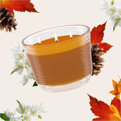Comforting Cashmere Woods Brown Scented Jar Candle 6.8 oz