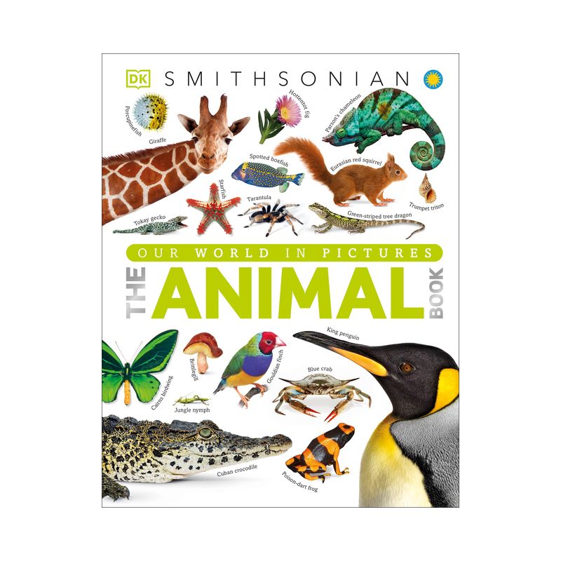 The Animal Book - (DK Our World in Pictures) by  David Burnie (Hardcover), 1 of 2