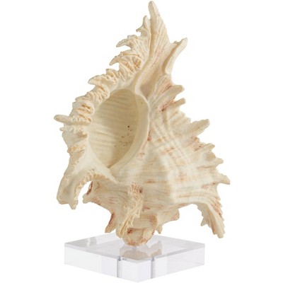 Studio 55D Matte Cream 11 3/4" High Conch Sculpture