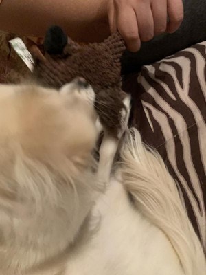 Guest review image 2 of 5, zoom in