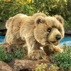 Folkmanis Puppets Grizzly Bear Hand Puppet - 2954 - 3 of 3