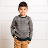 Hope & Henry Boys'  Long Sleeve Intarsia Crew Neck Pullover Sweater, Kids - 3 of 4