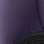 Purple Ombre