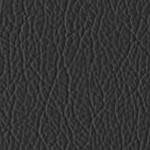 c.j. gardner-johnson