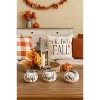 Transpac Resin Buffalo Check Pumpkin Set of 3 Fall Harvest Home Decorations for Autumn Thanksgiving Decor - 2 of 3