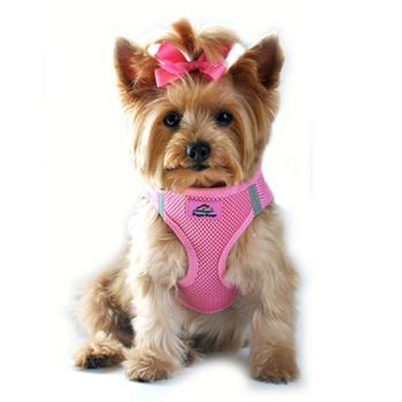 American River Solid Ultra Choke Free Dog Harness - Candy Pink, 2 of 5