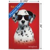 Trends International Keith Kimberlin - Dalmatian Puppy - Too Cool Unframed Wall Poster Prints - 3 of 4