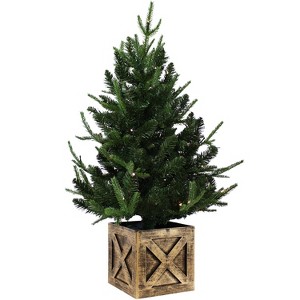 Sunnydaze Pre-Lit Farmhouse Artificial Fir Christmas Tree with Base - 50 Battery-Operated LED Lights - 3-Foot - 1 of 4