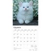 BrownTrout I Love Kittens 2026 12"x24" Hanging Square Wall Calendar Plastic-Free - 3 of 4