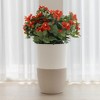 Dupray Bloom Air Purifier | Medical-Grade HEPA-13 Air Filtration - 3 of 4
