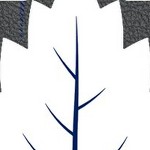 toronto maple leafs