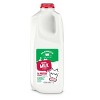 Shamrock Farms Vitamin D Milk - 0.5gal - image 2 of 2