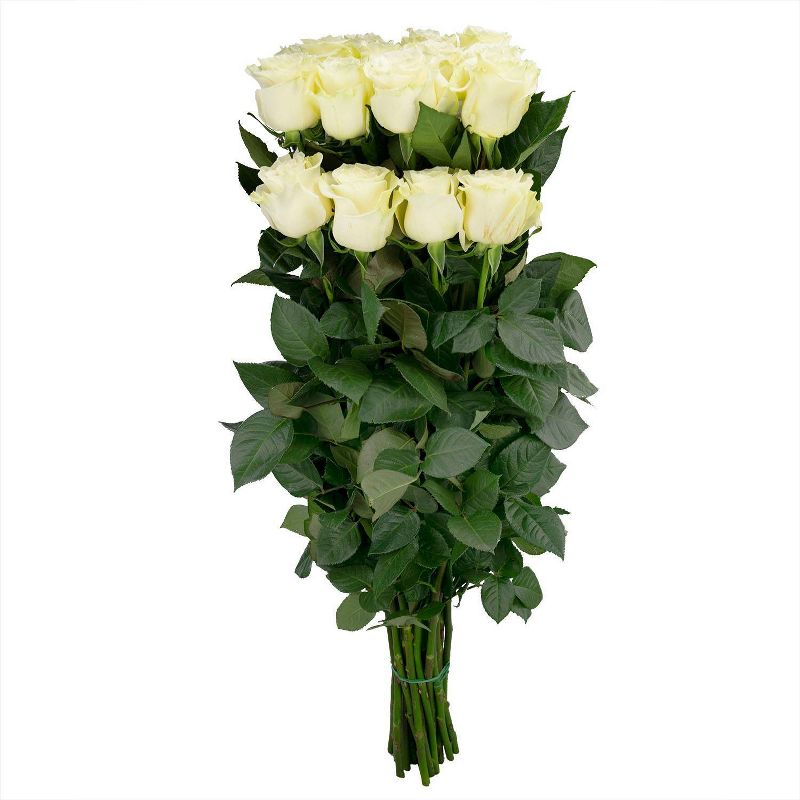 Fresh Cut 50-stem White Roses, 5 of 8