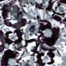 black watercolor floral