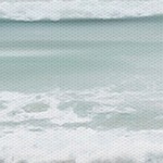 coastal white
