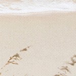 coastal white