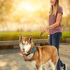 Nite Ize Raddog All-in-One Collar and Leash Combo - Dog Collar with Built-in Retractable Leash - 4 of 4