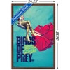 Trends International DC Comics Movie - Birds Of Prey - Heart Framed Wall Poster Prints - 3 of 4