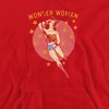 Dc Wonder Circle Adult Pull-Over Hoodie - 2 of 4