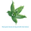 Unique Bargains Artificial Flowers Calyxes Fake Sepals Petal Greenery Leaves - 4 of 4
