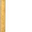 yellow/gold
