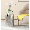 Forrest Metal Table Stool - Silver - Safavieh. - 2 of 3