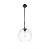 Elegant Lighting Baxter 1 Light Black Pendant With Clear Glass - 3 of 4