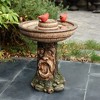 LuxenHome 23" Elegant Tall Resin Bird Bath for Outside with Whimsical Tree Face, Garden Pedestal Birdbath Multicolored - 2 of 4