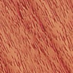 red oak