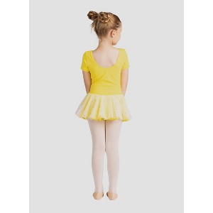 Girls Leotard Dress Danz N Motion 293 Madeline Sparkle Skirt Short SLeeve - 1 of 4