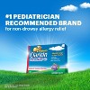 Children's Claritin 24 Hour Allergy Relief Chewable Tablets - Grape - Loratadine


 - 3 of 4
