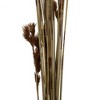 Vickerman Natural Botanicals 33" x 5" Thatch Reed, 100 grams per Unit - 4 of 4