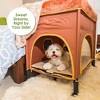Petique Bedside Lounge Pet Bed, 2 Level Bunk Bed for Medium Size Pets, Lion's Den - 2 of 4