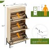 Acekool Rattan Shoe Cabinet with 3 Flip Drawers, 1 Top Drawer & 4 Adjustable Shelves, Compact Entryway Organizer with Metal Legs and Anti-Tip Device - 2 of 4
