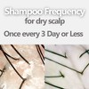 Aromase Dry Scalp Soothing Shampoo - Hydrates, Relieves Dryness and Itchiness - Amino Acid-Based Formula - No Parabens, SLS, or Silicone - 14 oz - 3 of 4