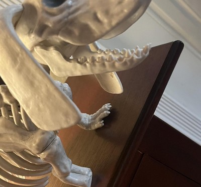 Guest review image 1 of 1, zoom in