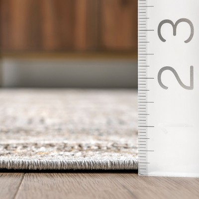 Gray and Beige 5' x 7' Traditional Washable Area Rug