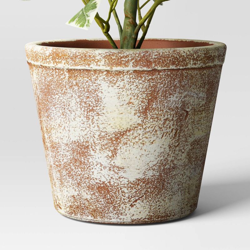 15&#34; Variegated Ficus Artificial Plant - Threshold&#8482; designed with Studio McGee, 5 of 6