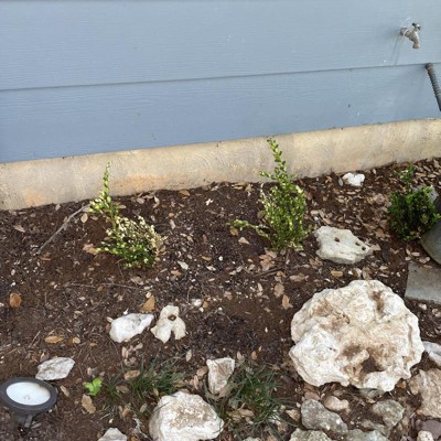 Guest review image 5 of 6, zoom in