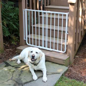 Cardinal Gates SS30OD Outdoor Baby & Pet Gate for Stairs