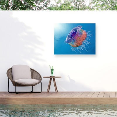 Trademark Fine Art - Henry Jager Crown Jellyfish Matted Framed Art