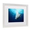 Trademark Fine Art - Roberto Marchegiani  Manta Fly Matted Framed Art - 3 of 4
