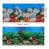 Unique Bargains Aquarium Background Poster Double-sided Fish Tank Background Decorative Pictures PVC 1 Pc - 4 of 4